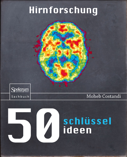 50 Schlüsselideen Hirnforschung